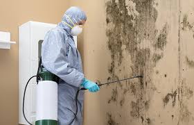 Best Mold Remediation for Healthcare Facilities  in Level Green, PA